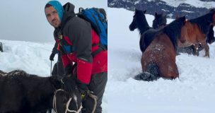 Pangal Andrade conmueve con nuevo rescate en el Cajón del Maipo: salvó a siete caballos aislados por el temporal