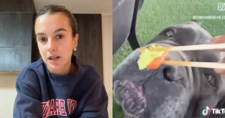 Influencer Josefa Sáez rompió el silencio tras polémica por video con su perro: “Fue con plena ignorancia”