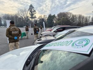 Plan Centinela permite recuperar 46 vehículos robados y detener a 25 personas en La Araucanía