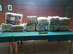 Carabineros detuvo a sujeto con más de 63 kilos de marihuana