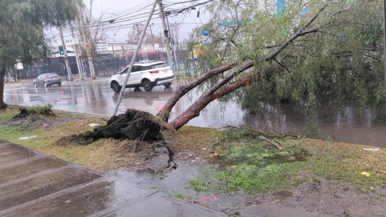 Sistema frontal provoca caída de árbol y derribo de tendido eléctrico en Conchalí