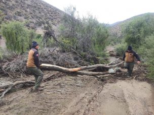 CONAF Coquimbo inicia recuperación de las áreas protegidas afectadas por el temporal