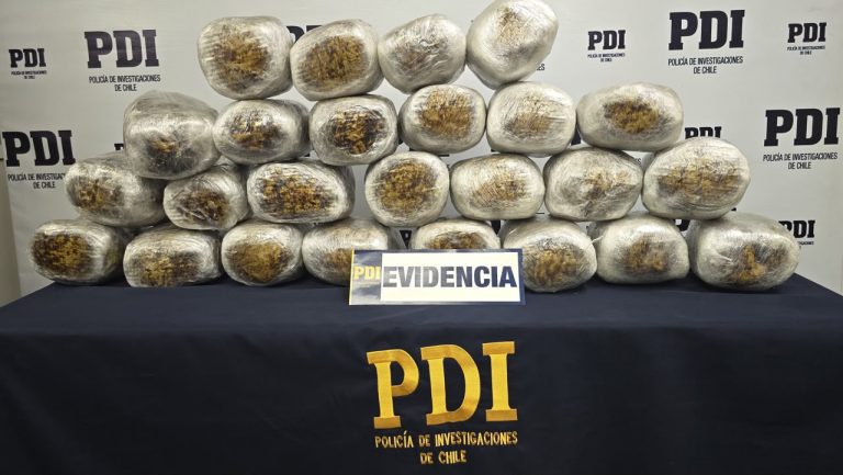 PDI detiene a dos bolivianos con más de 28 kilos de cannabis ocultos en un camión