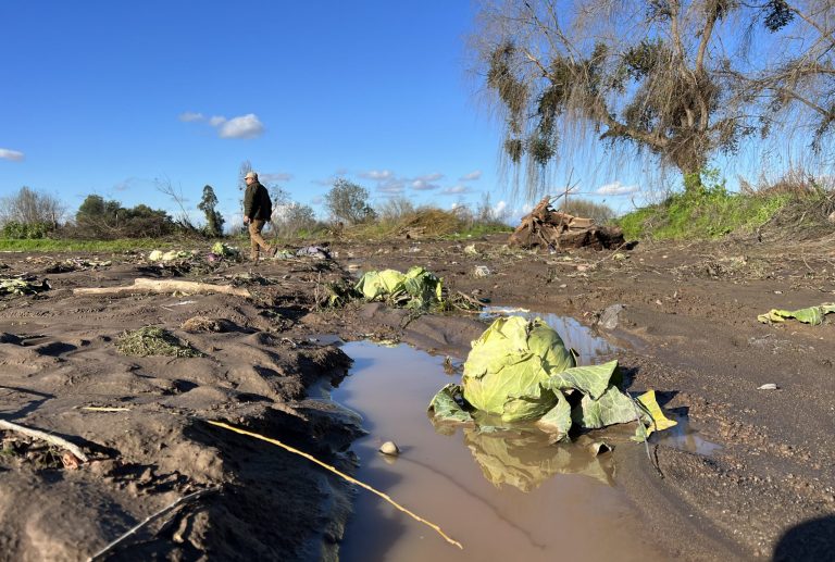 Gobierno declara emergencia agrícola en La Araucanía por daños del sistema frontal y activa ayudas