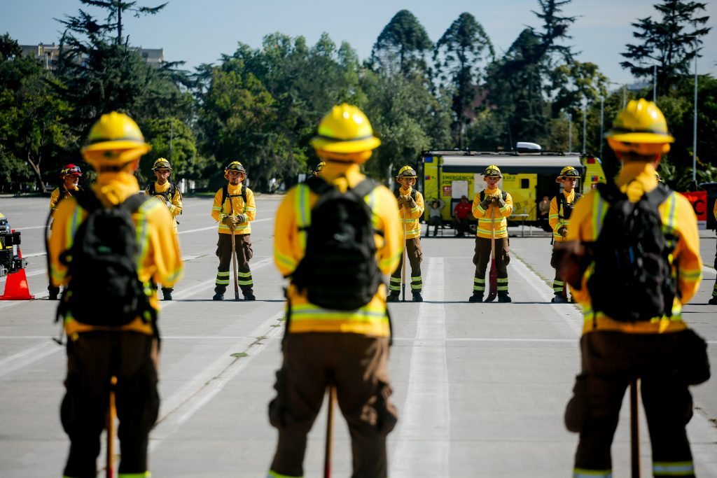CONAF abre más de 3 mil cupos para brigadistas forestales: conoce los requisitos para postular