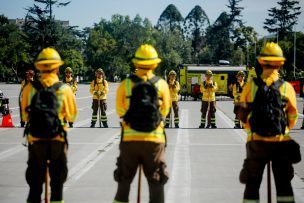 CONAF abre más de 3 mil cupos para brigadistas forestales: conoce los requisitos para postular