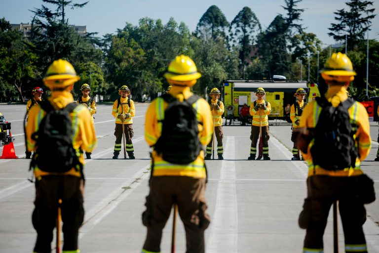 CONAF abre más de 3 mil cupos para brigadistas forestales: conoce los requisitos para postular