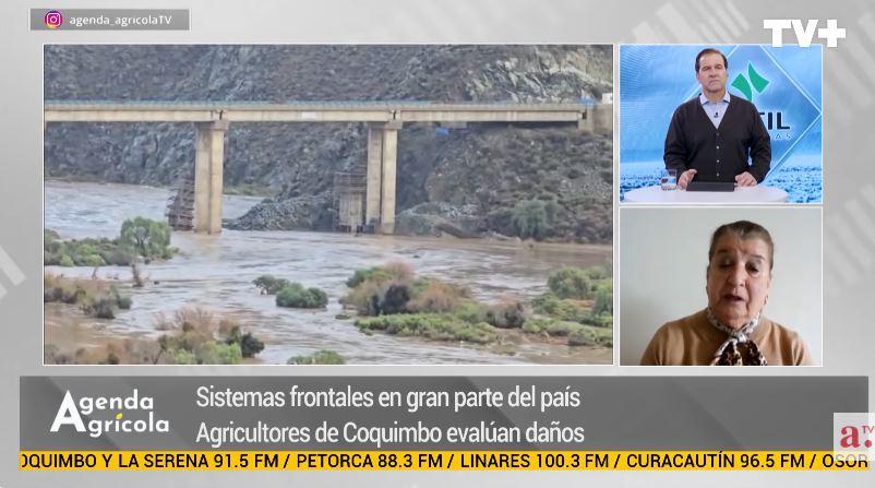 Temporales en la agricultura: productores alertan daños en riego, cultivos e infraestructura desde Coquimbo hasta Ñuble