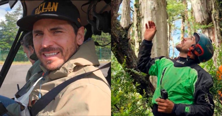 Pangal Andrade y “El Clan” encuentran alerce en Hornopirén que podría ser el más antiguo del mundo