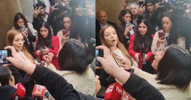VIDEO | “Delincuente” y “señora de feria”: fuerte cruce entre Camila Flores y Fabiola Campillai en el Senado