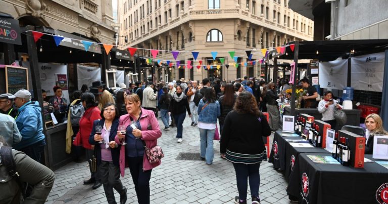 Día Nacional del Vino 2026 tendrá evento gratuito en Santiago: fechas, horarios y qué habrá