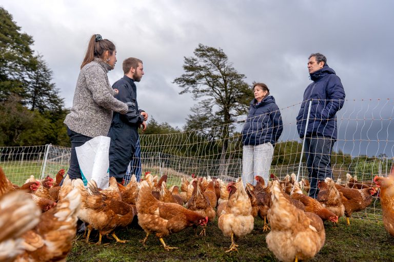 INDAP anuncia apoyo integral a agricultores según su trayectoria y territorio durante Cuenta Pública