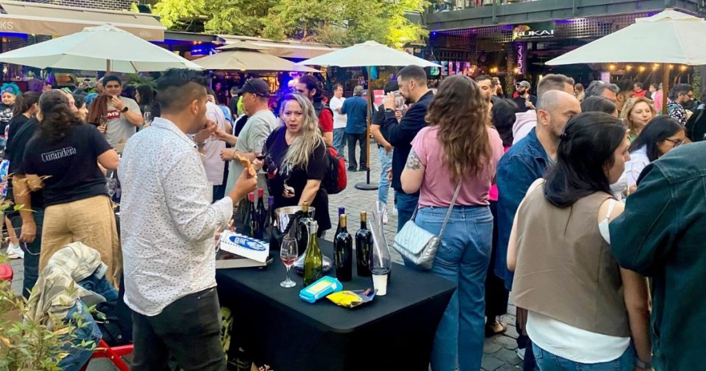 Día Nacional del Vino: feria ofrecerá degustación libre de más de 50 etiquetas en Santiago
