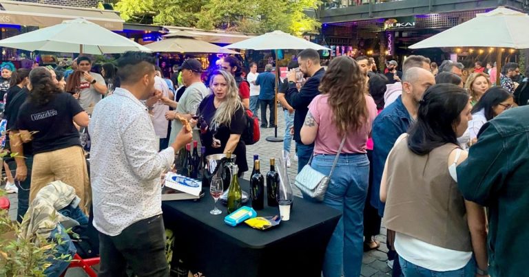 Día Nacional del Vino: feria ofrecerá degustación libre de más de 50 etiquetas en Santiago