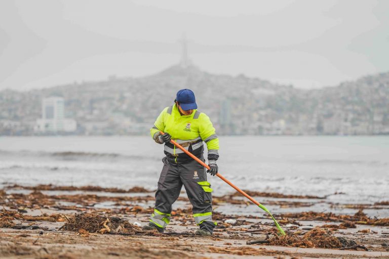 Cuadrillas municipales retiran toneladas de residuos de playas afectadas en Coquimbo