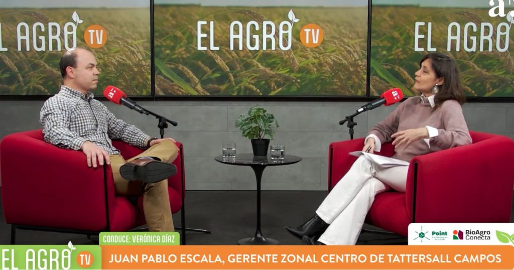 Juan Carlos Campos advierte el impacto de las lluvias en el valor de los campos: “Cuando no está operativo su valor baja”