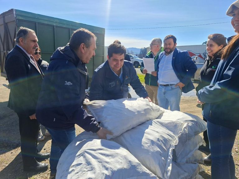 Minagri entrega 11 toneladas de alimento animal a agricultores afectados en Purén