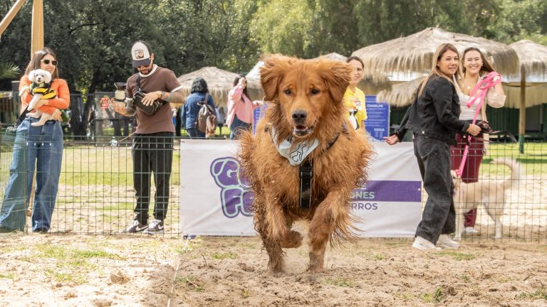 El parque de diversiones para perros regresa a Santiago: cuándo será GuauFest y cómo comprar entradas