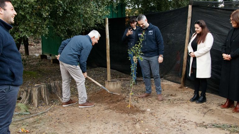 Minvu culmina intervención en Pailimo y Las Garzas e inicia recuperación de histórica gruta