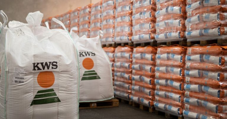 Calidad de Semilla en KWS: Del Campo a la Bolsa, un Estándar que la Competencia No Iguala