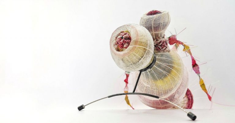 “Metamorfosis del jardín” llega al Centro Cultural MATTA con una exposición que conecta arte y naturaleza