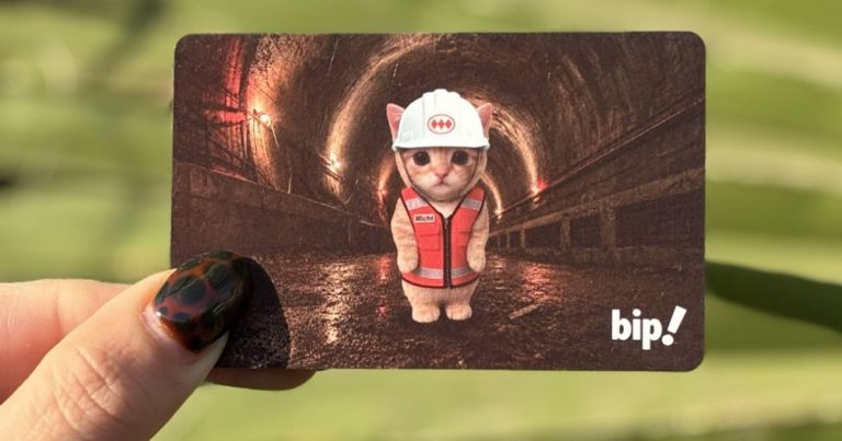 El gato viral de Línea 7 tendrá su propia Bip!: revisa dónde conseguir la tarjeta de Michi