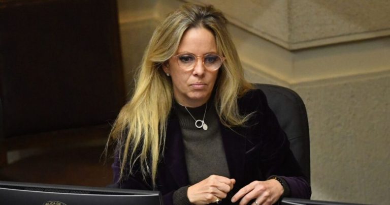 Senadora Vanessa Kaiser cuestiona falta de acción del Gobierno en proyecto 