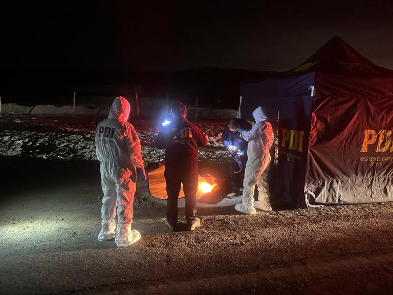 Robo con homicidio en Lluta: Fiscalía ECOH y PDI investigan asesinato de conductor de camión en la ruta 11-CH