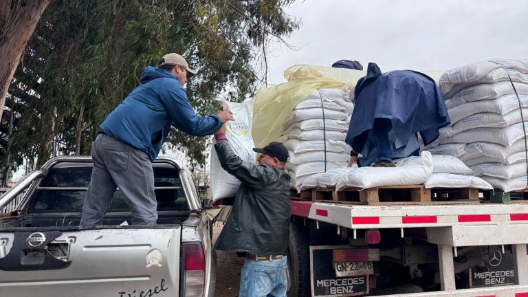 INDAP entrega 65 toneladas de alimento para apoyar recuperación productiva en Ñuble