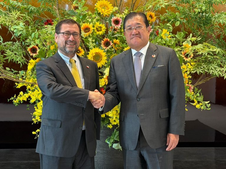 Ministro Pérez Mackenna invita a grandes empresas japonesas a invertir en Chile