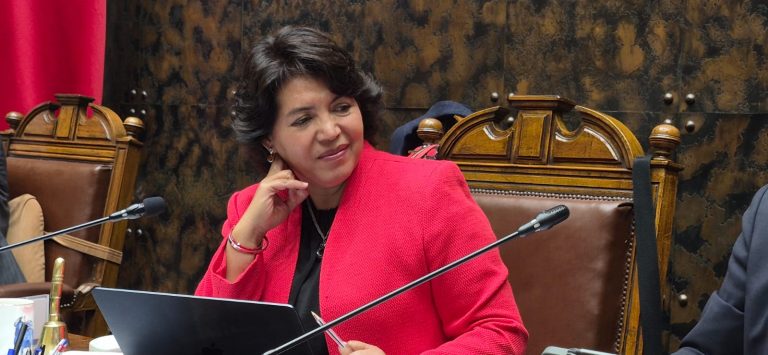Yasna Provoste presidirá subcomisión de Presupuestos y apunta a recuperar empleos en regiones