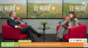 El Agro: El impacto de los aranceles de Estados Unidos a Chile sobre las exportaciones frutícolas