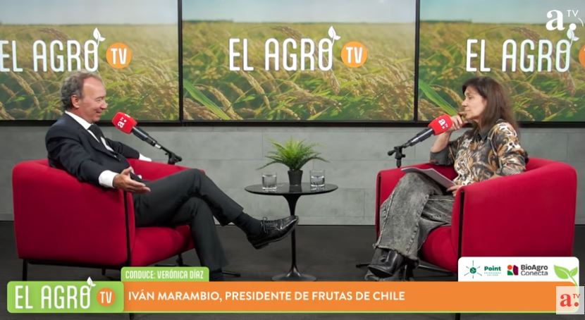 El Agro: El impacto de los aranceles de Estados Unidos a Chile sobre las exportaciones frutícolas