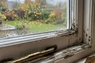 Invierno y humedad: los errores que favorecen la proliferación de hongos y ácaros en el hogar