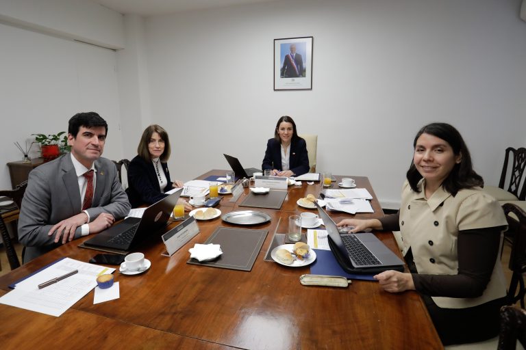 Gloria Montenegro Rizzardini es elegida Premio Nacional de Ciencias Aplicadas y Tecnológicas 2026