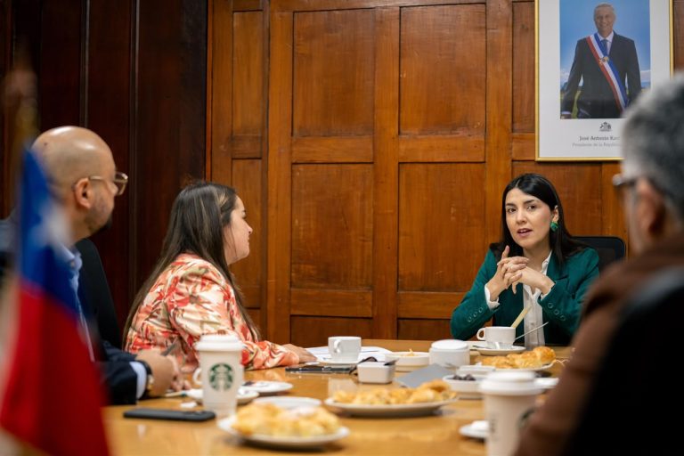 Diputada Tamara Ramírez sostuvo reunión con la ministra de la Mujer por proyecto de Sala Cuna