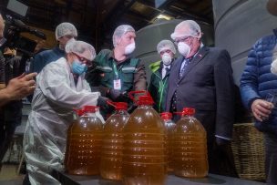 SAG intensifica fiscalización de chicha por Fiestas Patrias y advierte multas de hasta $71 millones