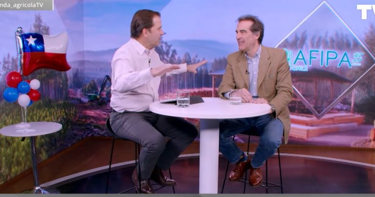 Alfonso Undurraga destaca recuperación de la producción de vino chileno y apunta a nuevos mercados