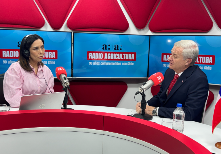 Presidente Kast y su caída en las encuestas: 