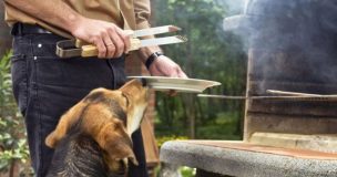 Fiestas Patrias y mascotas: los alimentos que perros y gatos no deben comer durante las celebraciones