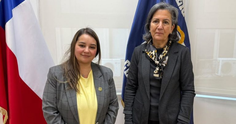 Diputada Tamara Ramírez aborda urgencias del sistema de salud con ministra May Chomalí