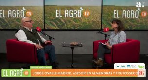 El Agro: Industria de la almendra proyecta un escenario favorable y nuevas oportunidades para el sector alimentario