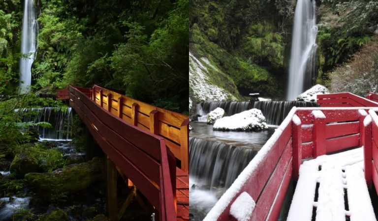 Termas Geométricas dejará su actual ubicación tras más de 20 años: revisa cuándo será el cierre