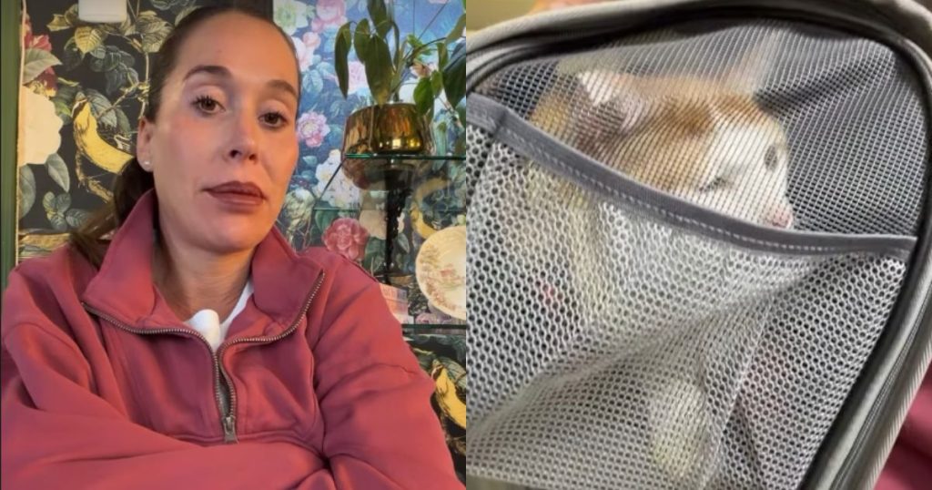“Benito estará bien”: Vale Roth reveló decisión clave tras complicado momento de su gato