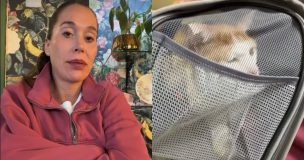 “Benito estará bien”: Vale Roth reveló decisión clave tras complicado momento de su gato