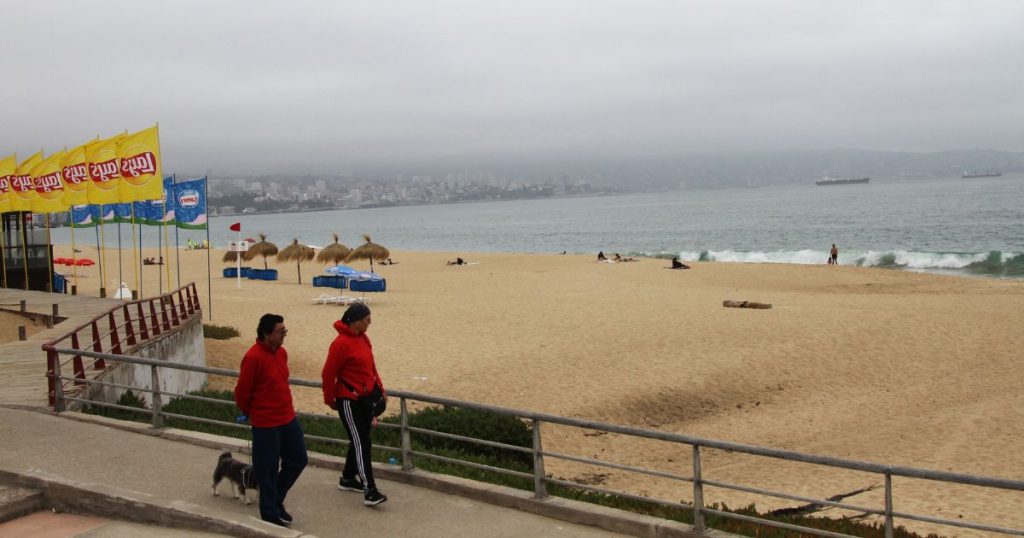 Foca leopardo aparece en playa de Viña del Mar y obliga a desplegar operativo de seguridad