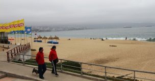 Foca leopardo aparece en playa de Viña del Mar y obliga a desplegar operativo de seguridad