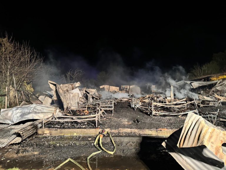 Incendio en Pitrufquén: municipio decreta duelo y surgen nuevos antecedentes sobre el hogar