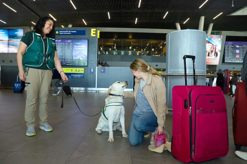 Atención si viajas con mascotas: SAG advierte nueva exigencia para ingresar perros y gatos a Chile