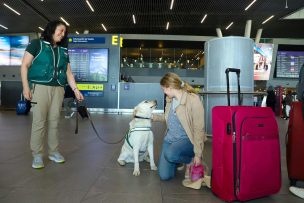 Atención si viajas con mascotas: SAG advierte nueva exigencia para ingresar perros y gatos a Chile